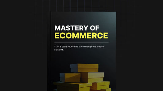 Mastery of Ecommerce